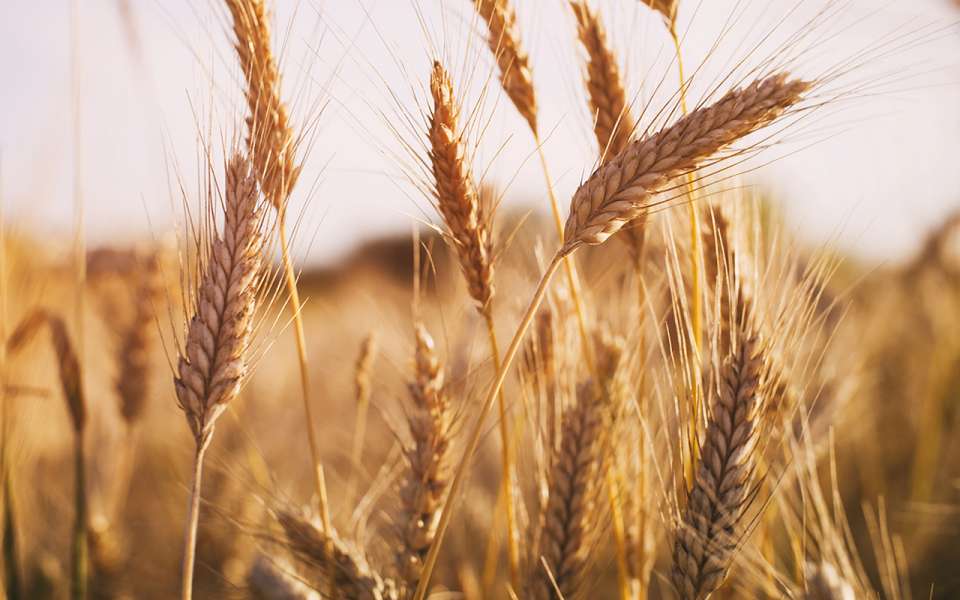 Guichet.lu Verwaltungsleitfaden Luxemburg